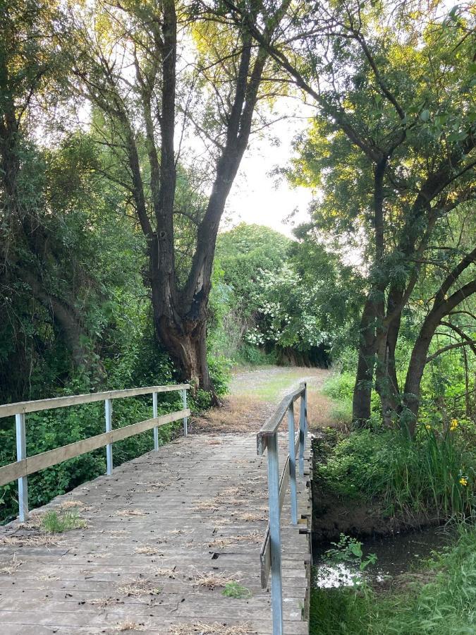 Apartamento Turistico Cerca Aranda De Duero La Ren Lecres Vadocondes Экстерьер фото