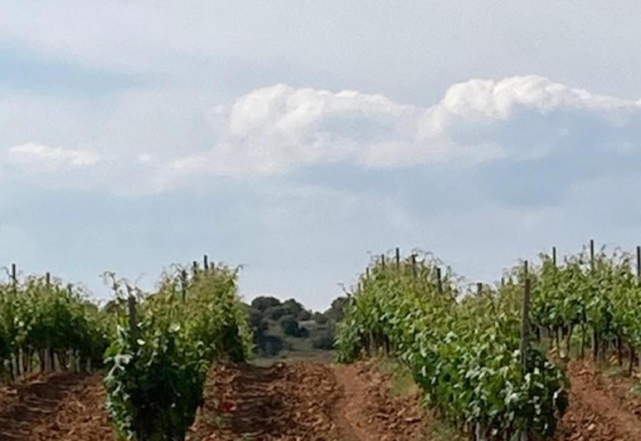 Apartamento Turistico Cerca Aranda De Duero La Ren Lecres Vadocondes Экстерьер фото