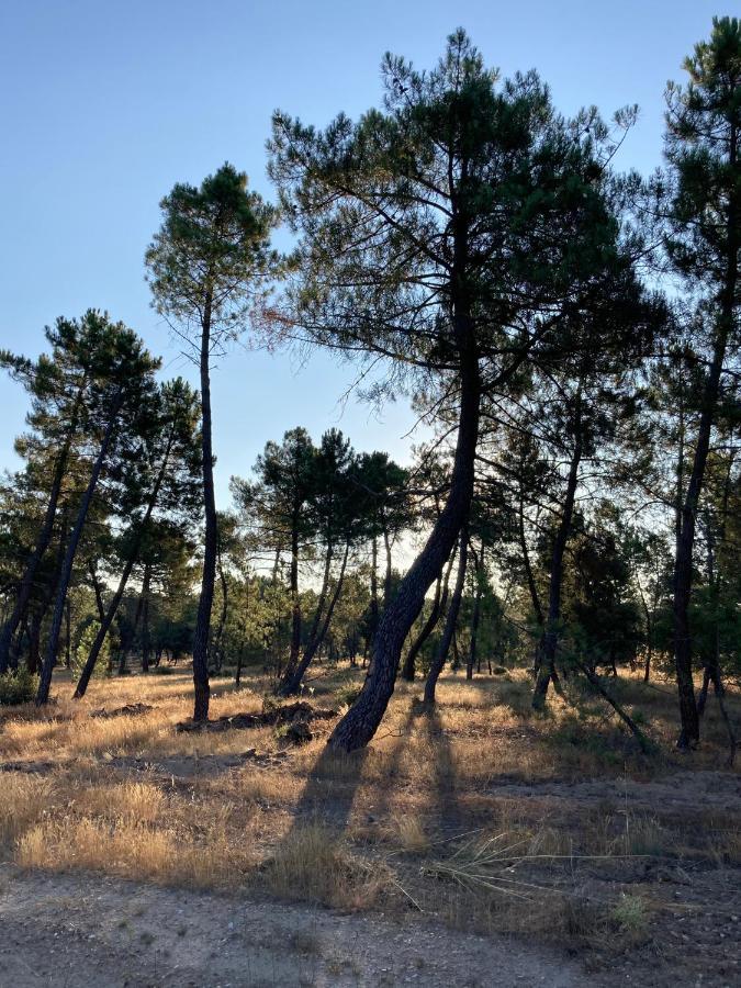 Apartamento Turistico Cerca Aranda De Duero La Ren Lecres Vadocondes Экстерьер фото